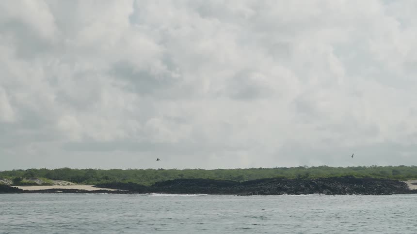Landscape of a desert beach with birds flying on a cloudy day