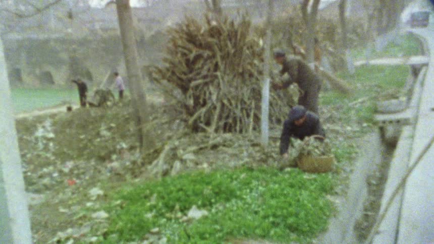 A group of farmers harvesting hay and sticks in the countryside