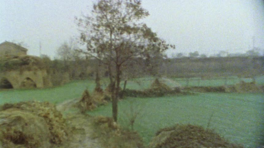 Field with agricultural plantations and old houses around on a cloudy sky day