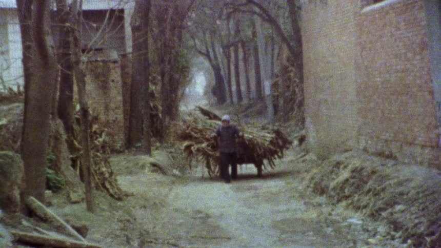 An image of a person pulling a truck filled with farm produce