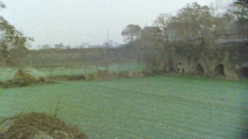 Agricultural plantation and around old houses on a cloudy day