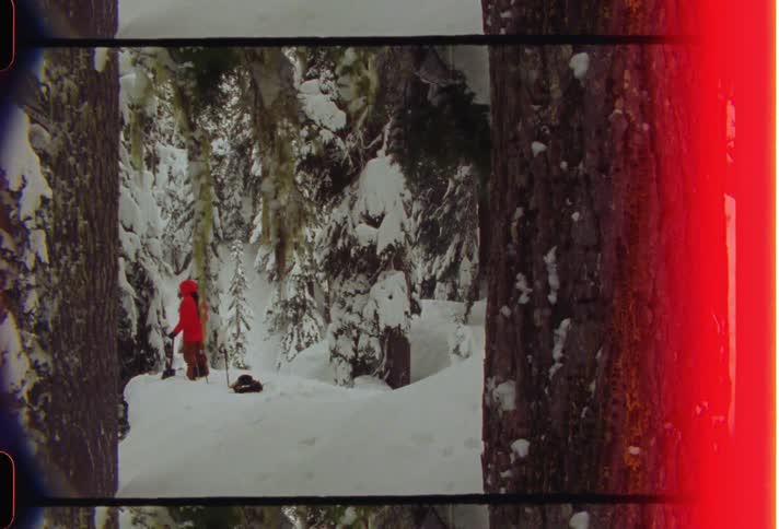 Person wearing a red jacket stands with a shovel in snowy conifer forest