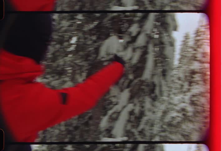 Person throwing a snowball in the middle of a mountain with conifers covered in snow