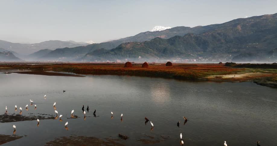 Aerial view of birds flying on a lake and mountains in the background