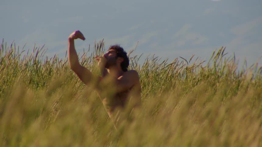 Man with a beard and no shirt dancing artistically amidst vegetation in an openair natural environment