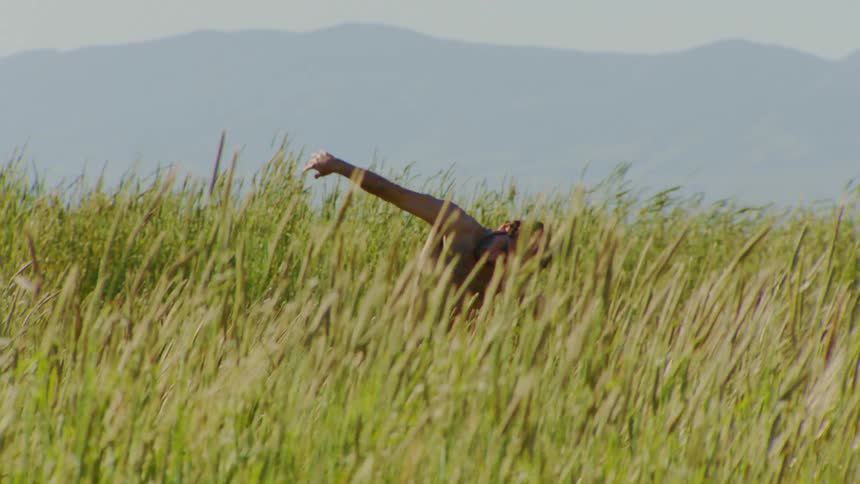 A young shirtless man dances on a field of tall grass on a sunny day