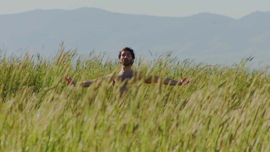 A young shirtless man dances on a field of tall grass on a sunny day