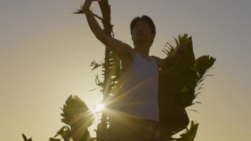 A young man dances in front of tropical plants at sunset