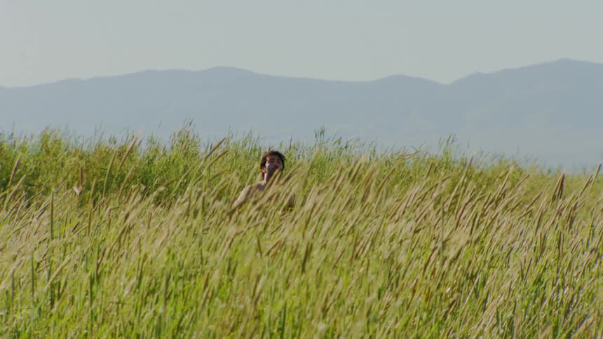 A young shirtless man dances on a field of tall grass on a sunny day