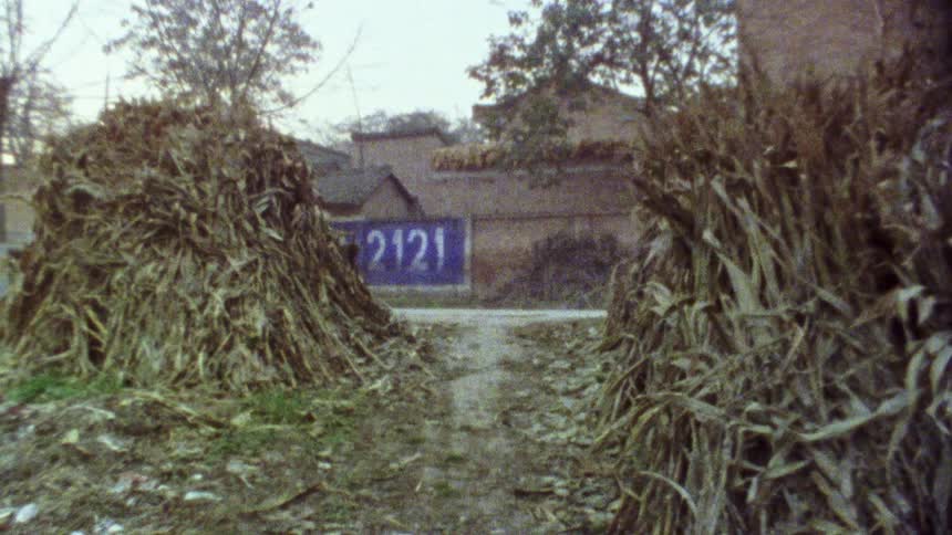 Vehicle moves along road between buildings and dead plant clumps