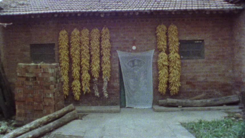 Facade of a brick house with bananas hanging