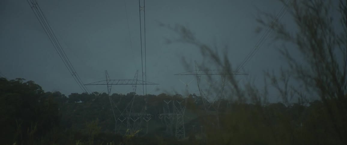 Power lines run over the trees