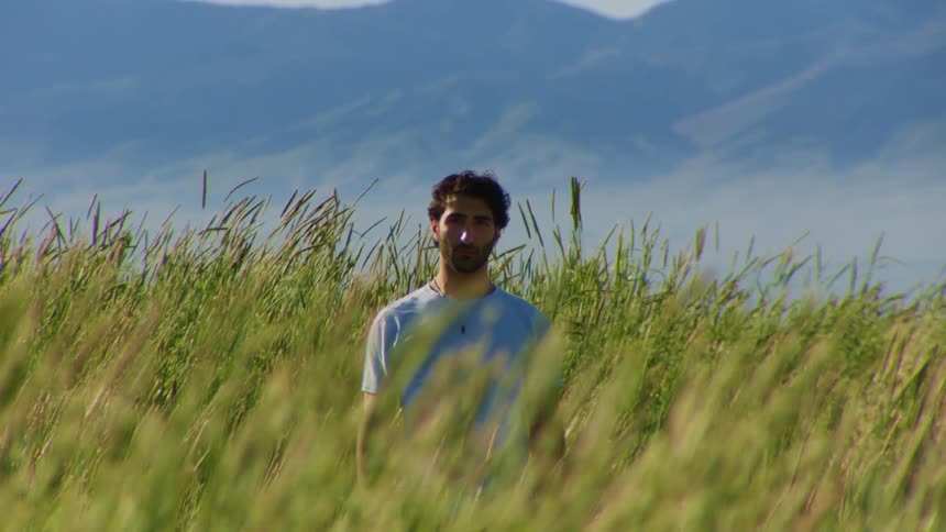 A man wearing a blue shirt stands on a field of tall reeds