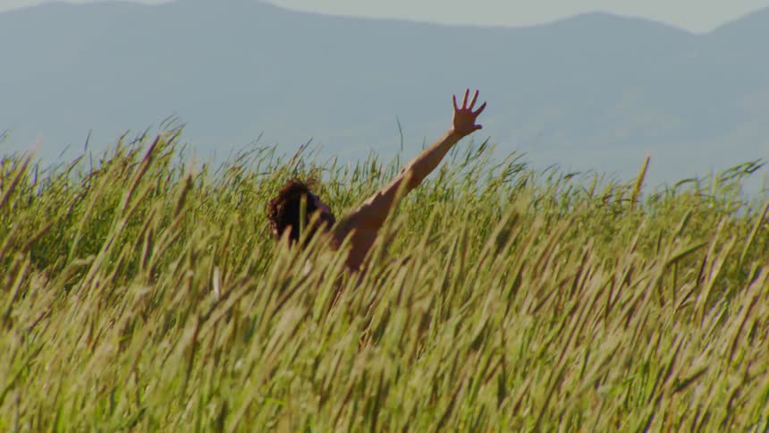 A young shirtless man dances on a field of tall reeds on a sunny day