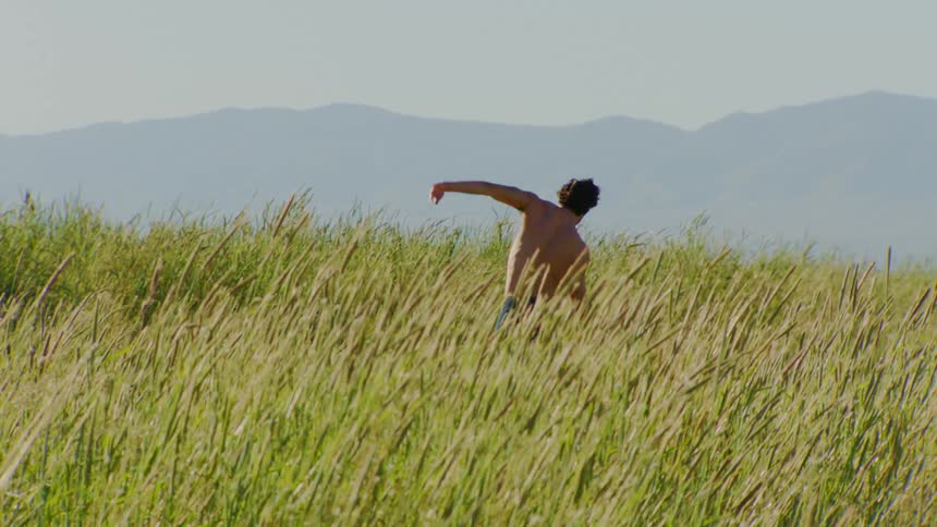 A young shirtless man dances on a field of tall reeds on a sunny day