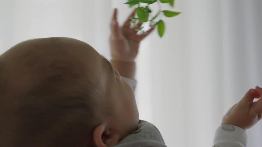 Baby playing with leaves of a green plant with his hands