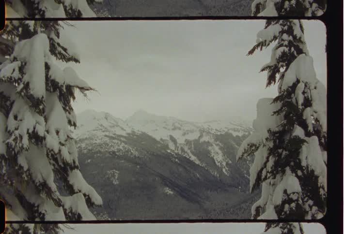 Landscape of mountains with conifers covered by snow