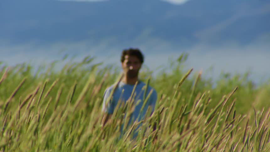 A man wearing a blue shirt stands on a field of tall reeds