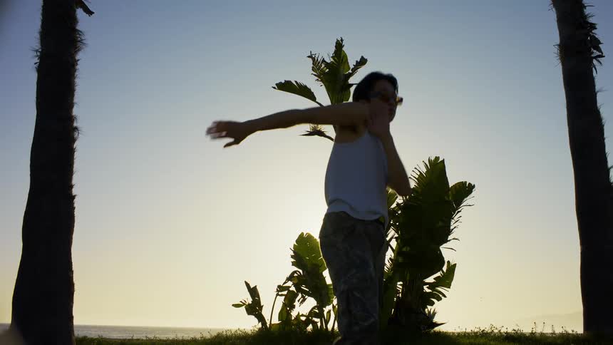 A man dancing in front of palm trees with the sun behind them