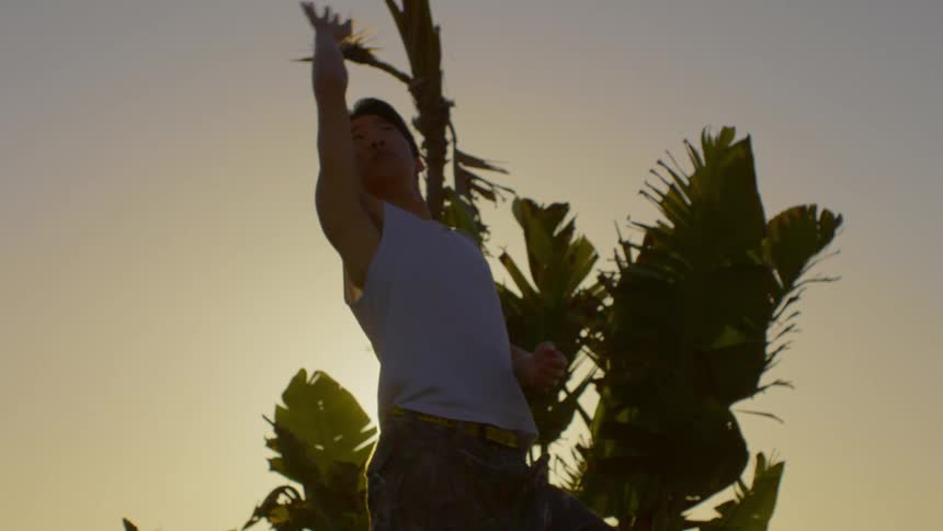 Silhouette of a man dancing in front of tropical plants at sunset
