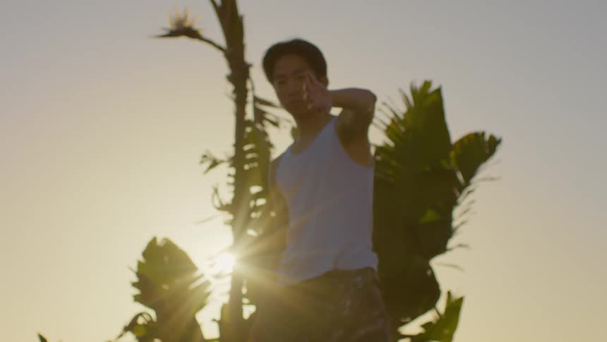 A man dancing in front of palm trees with the sun behind them