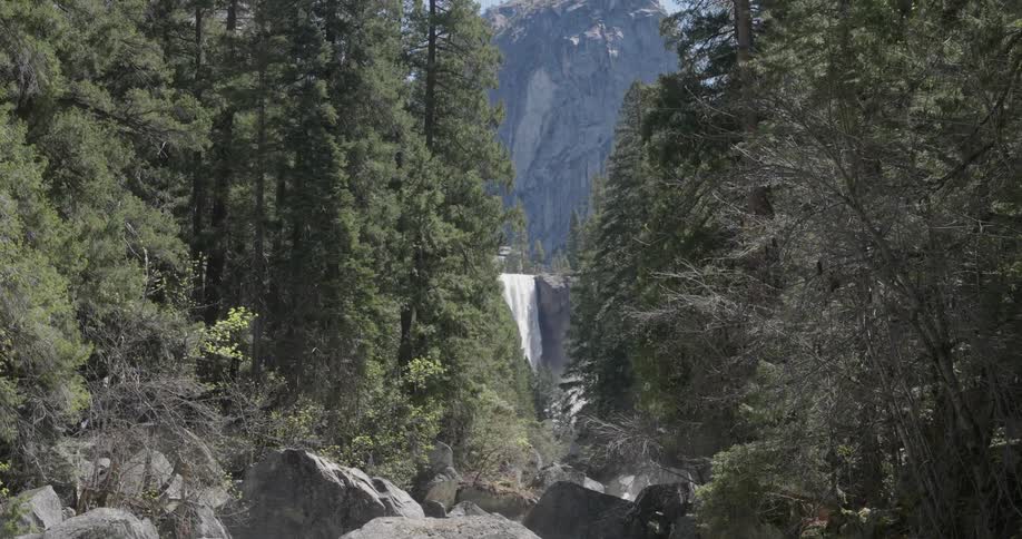 Landscape of a forest and a waterfall in the background