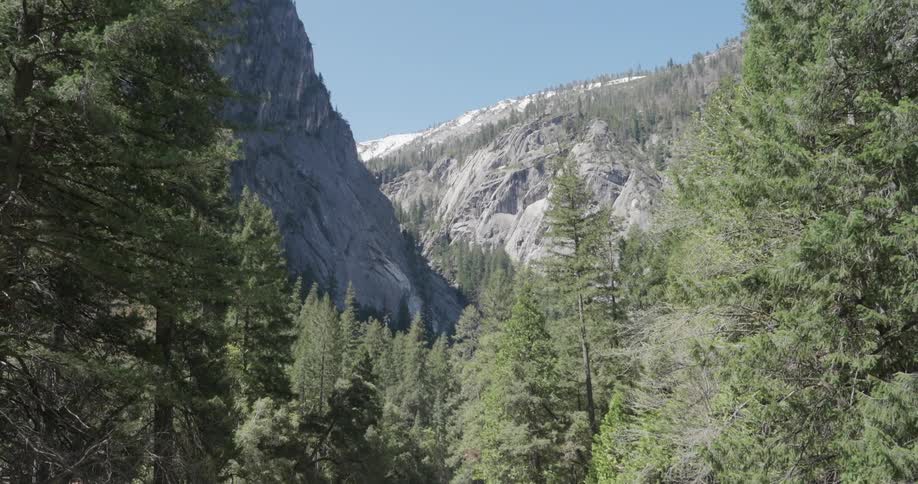 Natural landscape of a flowing river in the middle of the forest with mountains around