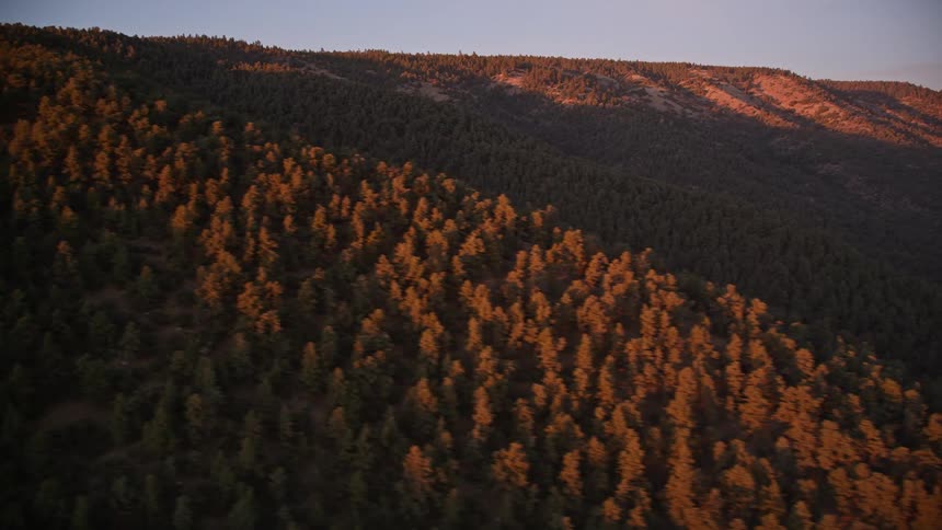 Aerial panorama of mountains with forests in a morning