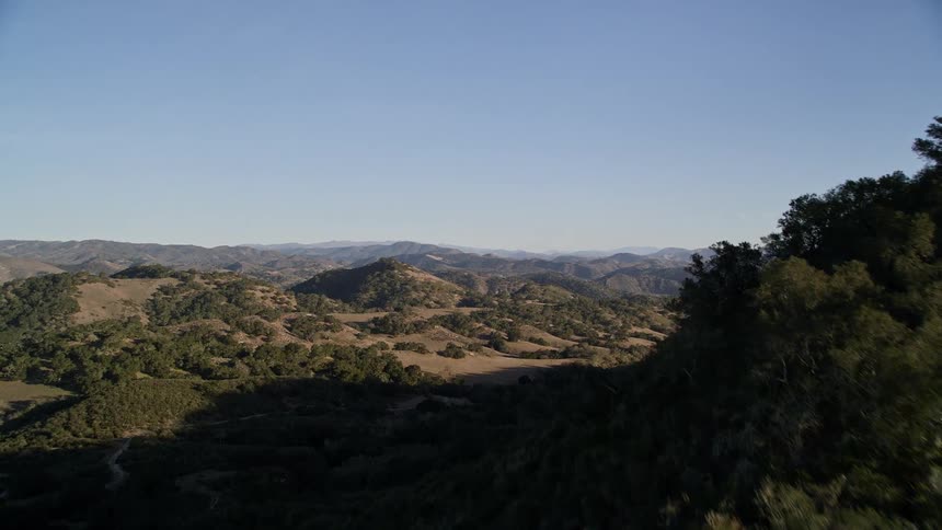 Trees and other vegetation covering multiple hills