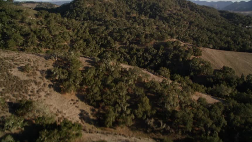Aerial view of a mountain range covered by bushes and trees with a dirt track at the foot of the mountain