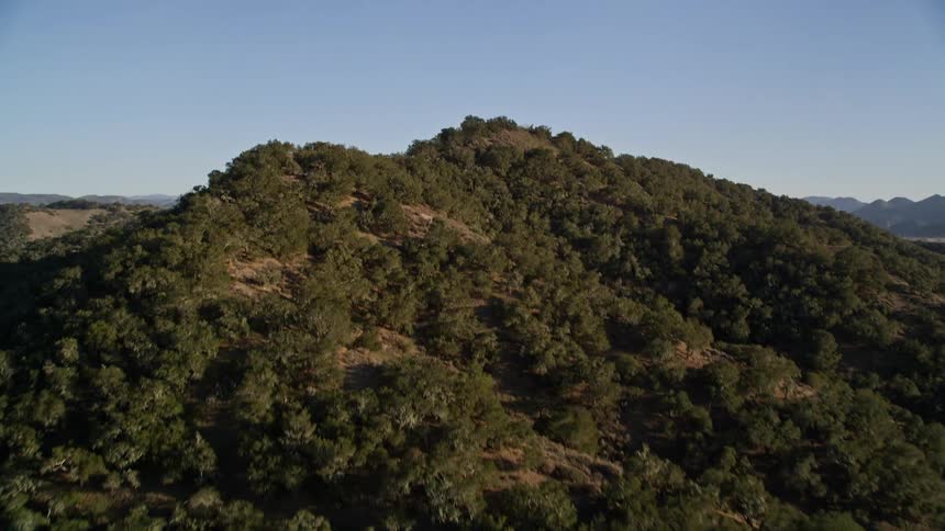 Mountain ranges and hills with forests