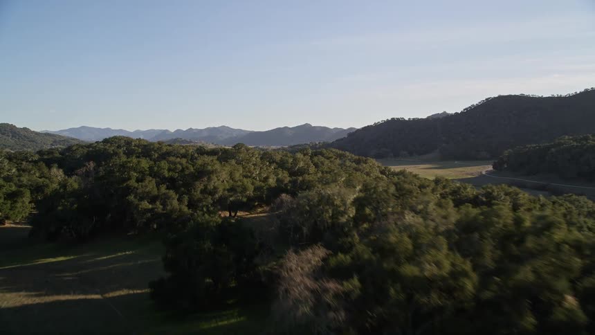 The landscape is covered with green