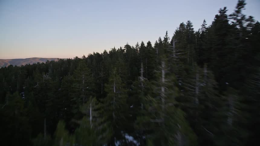 An aerial view of a mountain covered in evergreen trees