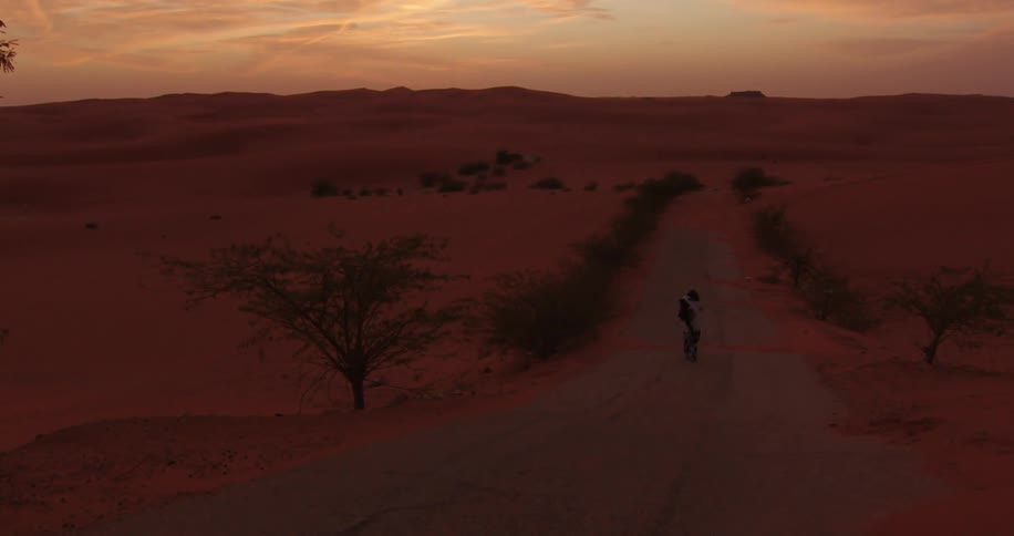 Paved road surrounded by arid desert vegetation with a person walking
