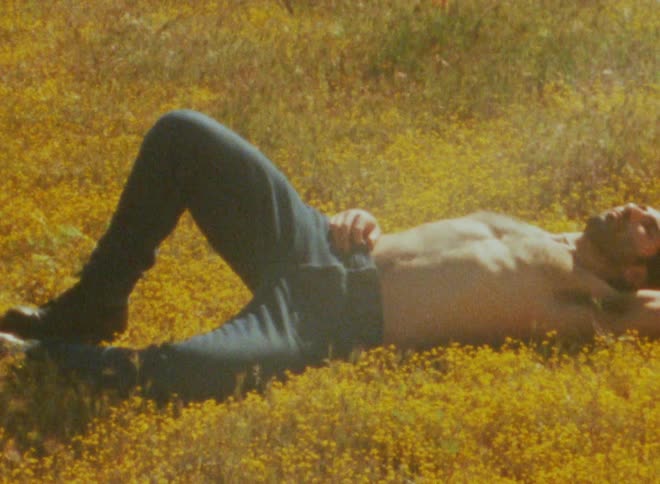 Man without tshirt and jeans looking up while lying in a garden with yellow flowers around