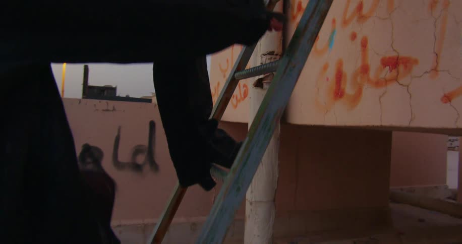 Two people going up a ladder leaning against a wall marked with graffitti tags
