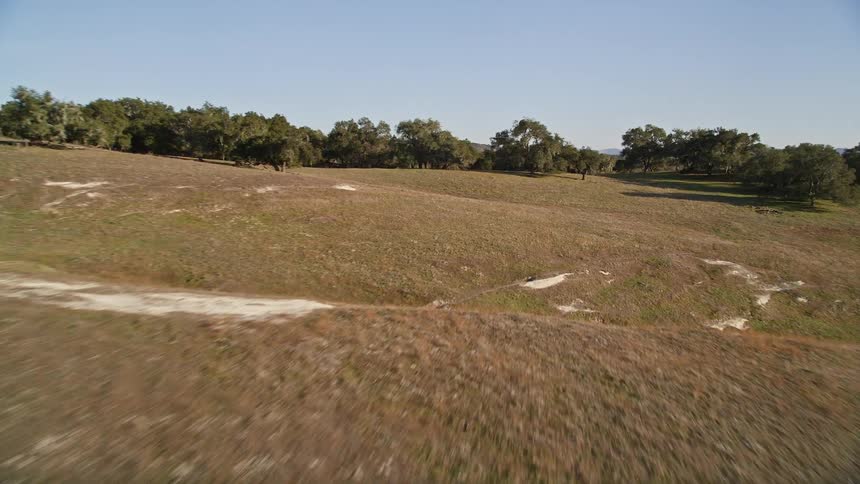 Plains and forests near a mountain range