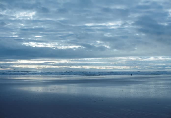 A flock of birds fly over the shoreline