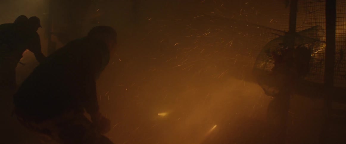 Fireworks are launched into the night sky