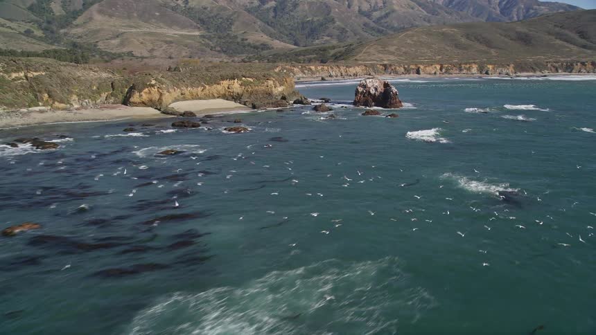 Flock of birds flies over partially submerged rock outcroppings near the beach