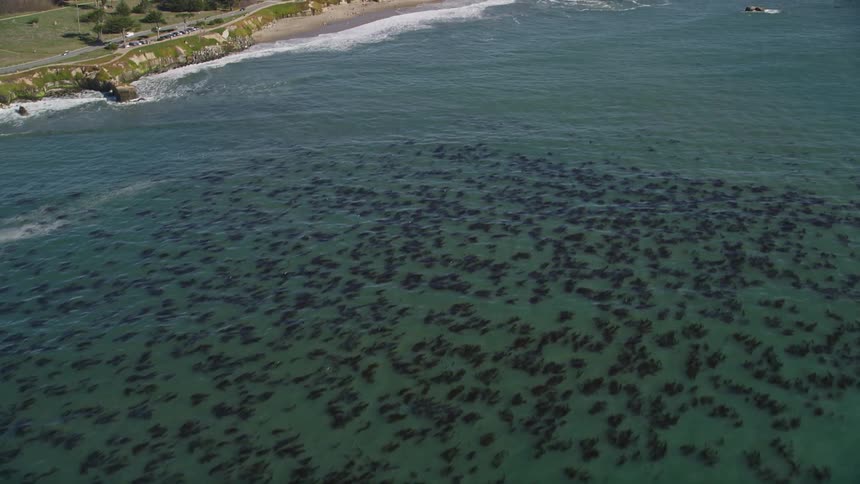 An aerial clip of an ocean close to the city