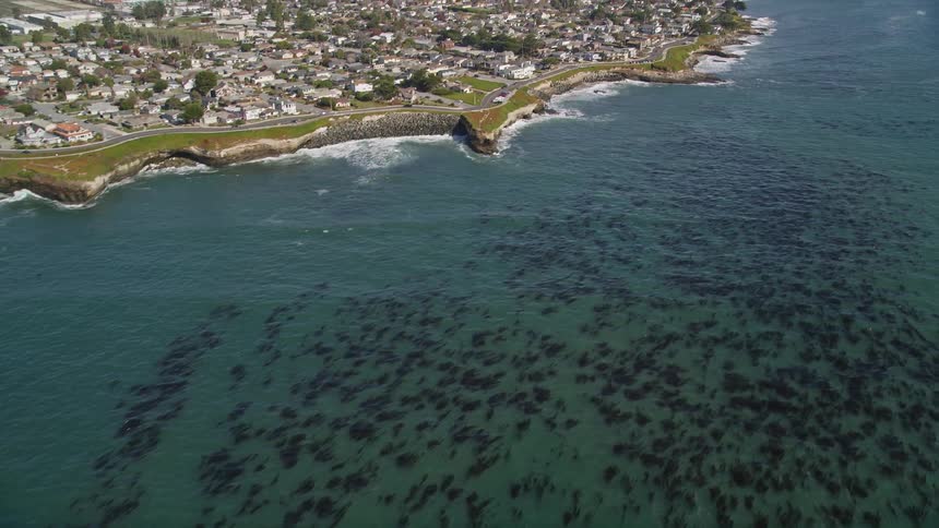 Landscape of an extensive blue ocean full of algae washing the coast with an urban city and the silhouette of mountains on the horizon