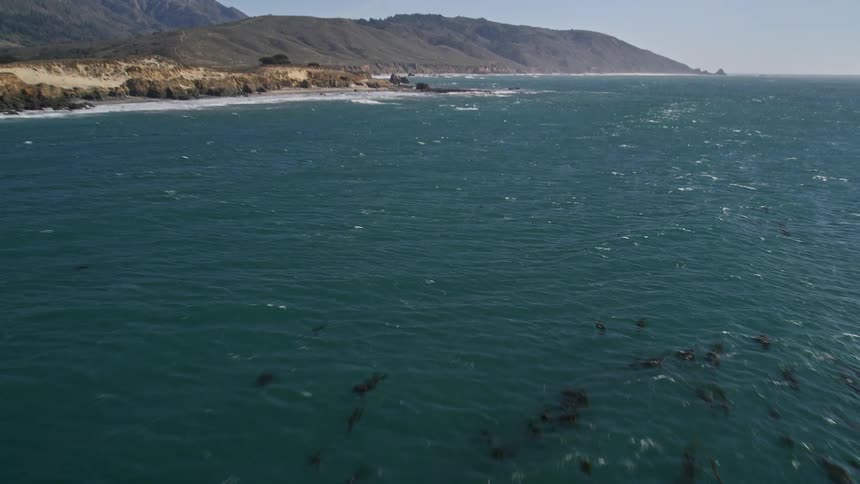 Aerial landscape of a blue sea with animals on the surface and the coast on the horizon