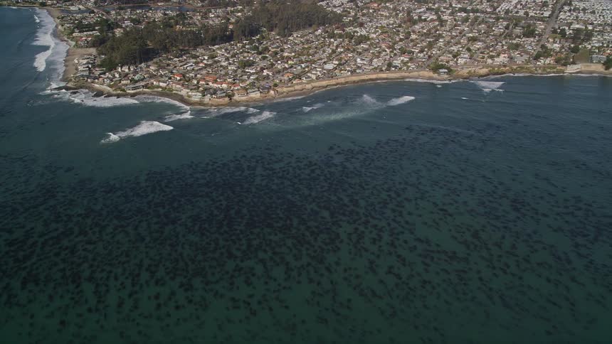 Aerial view of the monterey peninsula and monterey bay in california