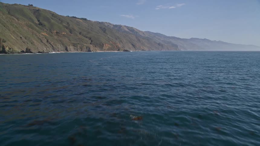 Vast sea with seaweed on the edge of a greenish coast