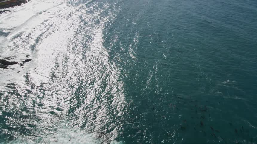 Aerial landscape of a greenish peninsula with trees and the edge of a vast blue sea