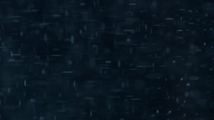 Particles swirl and rotate around each other