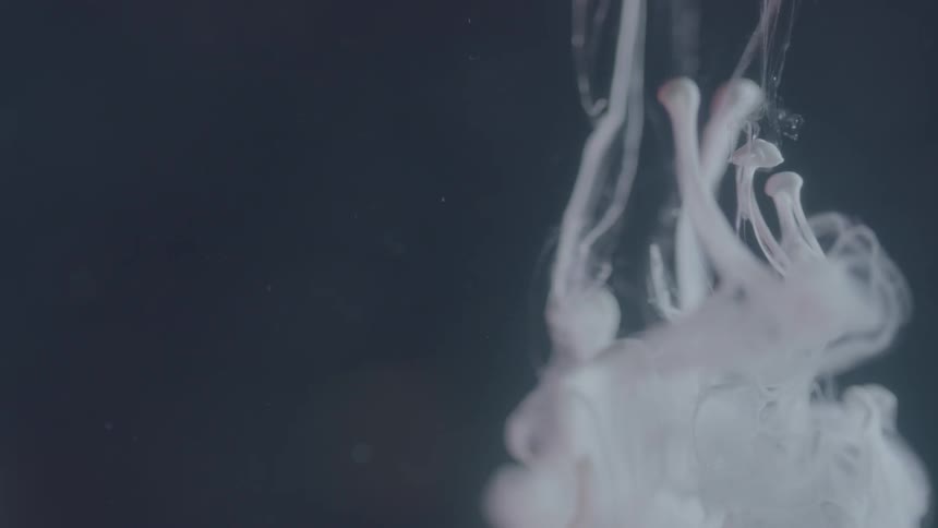 A white liquid is dropping into a clear suspension