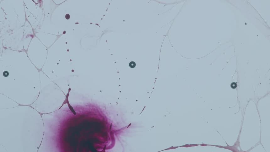 Pink liquid drops and spreads into clear liquid