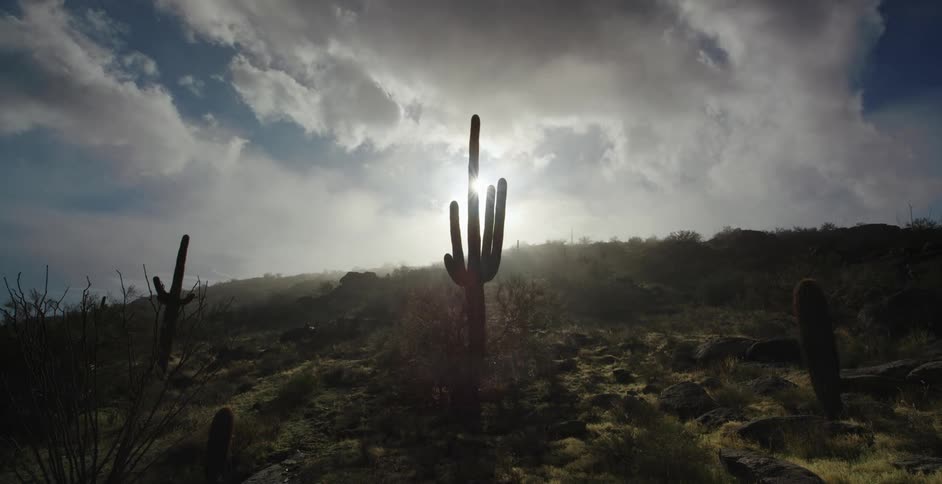 Sun shines through clouds casting cacti on slope into silhouette